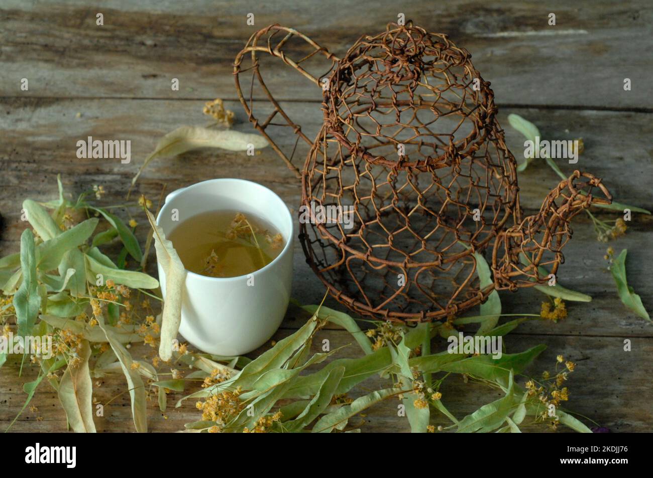 Cup of herbal tea, infusion of lime tree (Tilia sp), promotes well