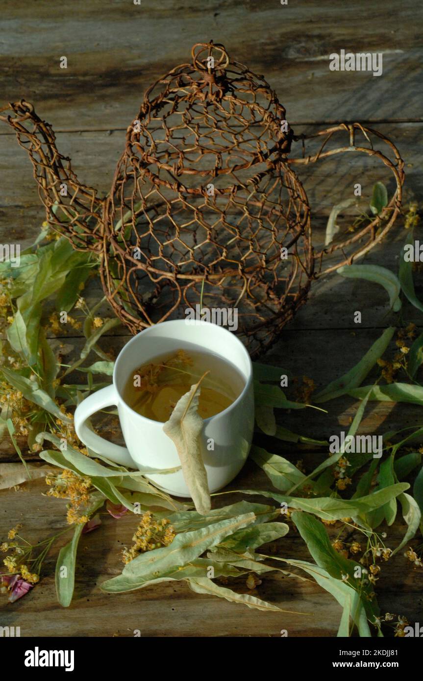 Cup of herbal tea, infusion of lime tree (Tilia sp), promotes well