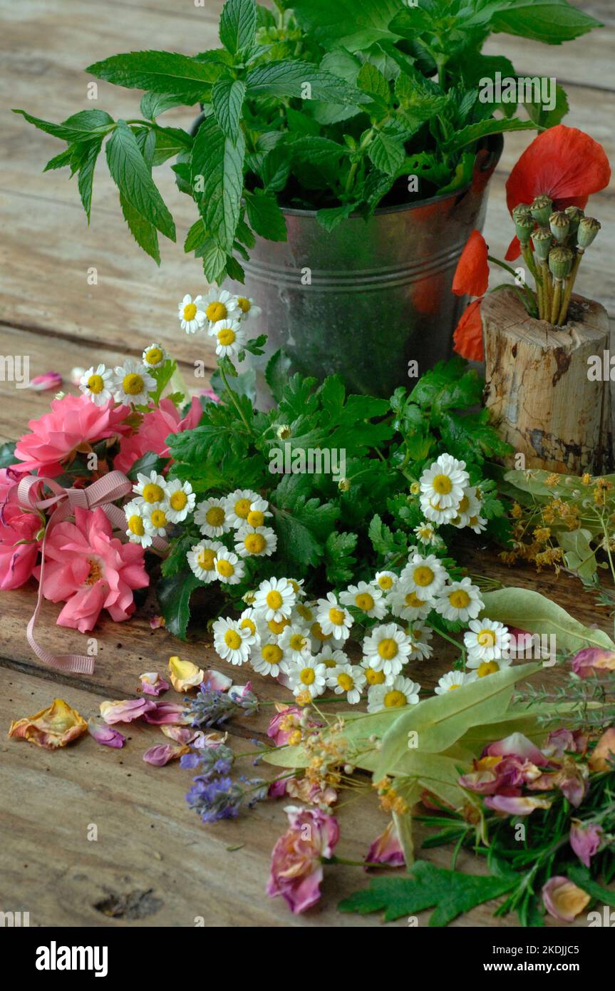 Garden treasures, edible and officinal plants rose petals, poppy seeds