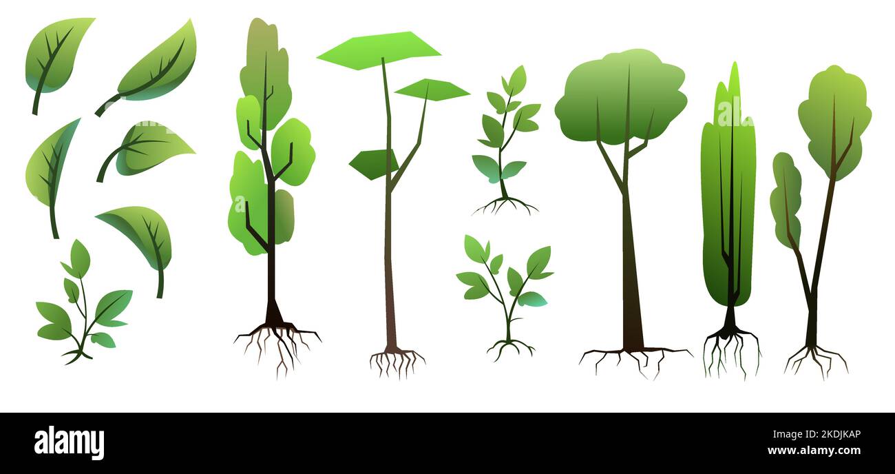 Seedlings of young trees with roots. Set of Garden plants. Fruit plantings. Isolated on white background. Vector Stock Vector