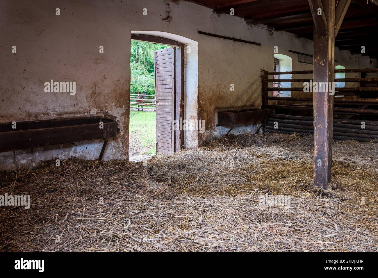 Interior of stable in horse breeding in Florianka, Zwierzyniec, Roztocze, Poland. Clean hay