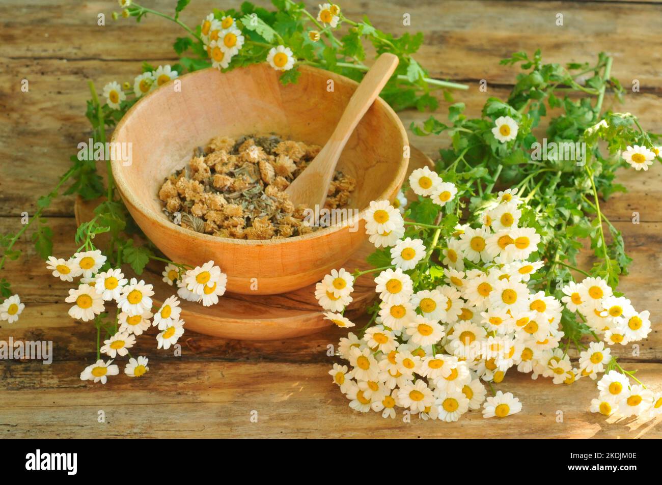 Feverfew flowers and dried in a wooden bowl, aromatic and medicinal