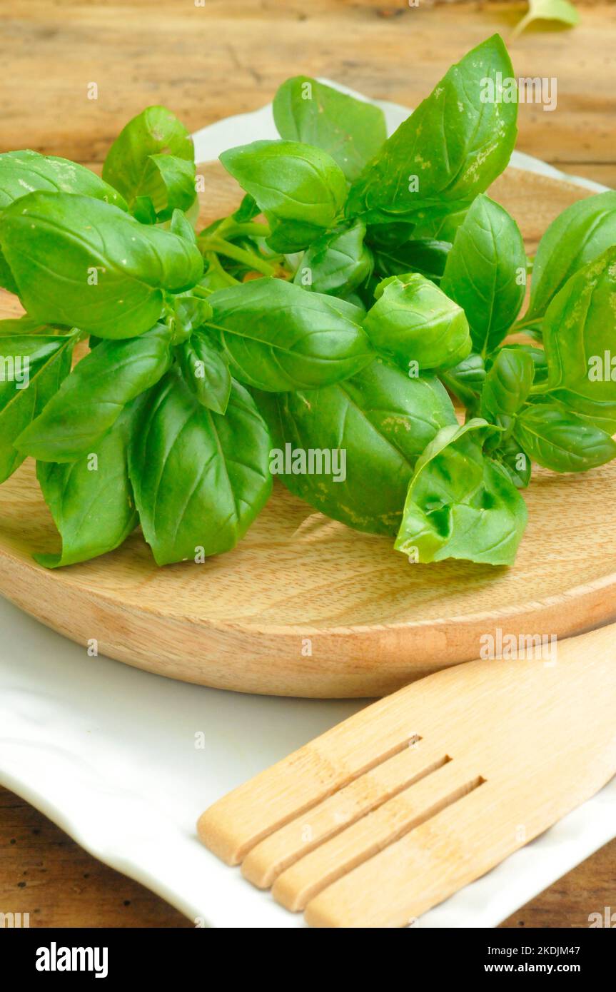 Basil (Ocimum basilicum), Basil in the kitchen, a wooden dish and