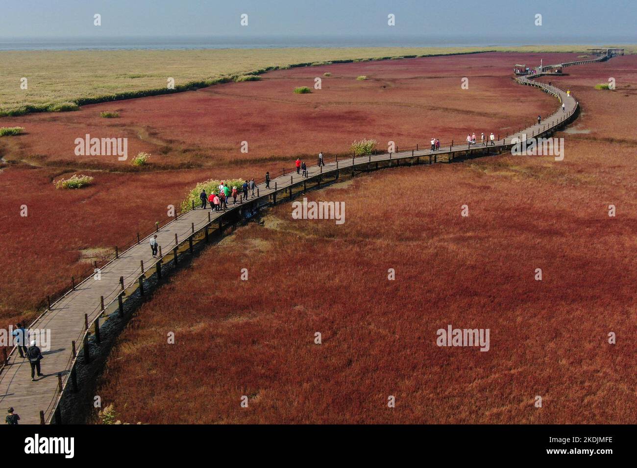 Panjin. 28th Sep, 2022. This aerial photo taken on Sept. 28, 2022 shows people enjoying the scenery of the Red Beach scenic area in Panjin, northeast China's Liaoning Province. Various types of wetlands have been found in the Liaohe River Delta. The tidelands there are covered by the suaeda salsa, which turn red on the beach in autumn. Credit: Pan Yulong/Xinhua/Alamy Live News Stock Photo