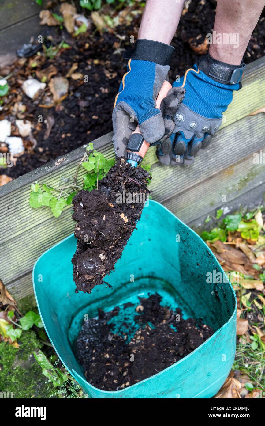 Using compost in the garden, spring, Pas de Calais, France Stock Photo