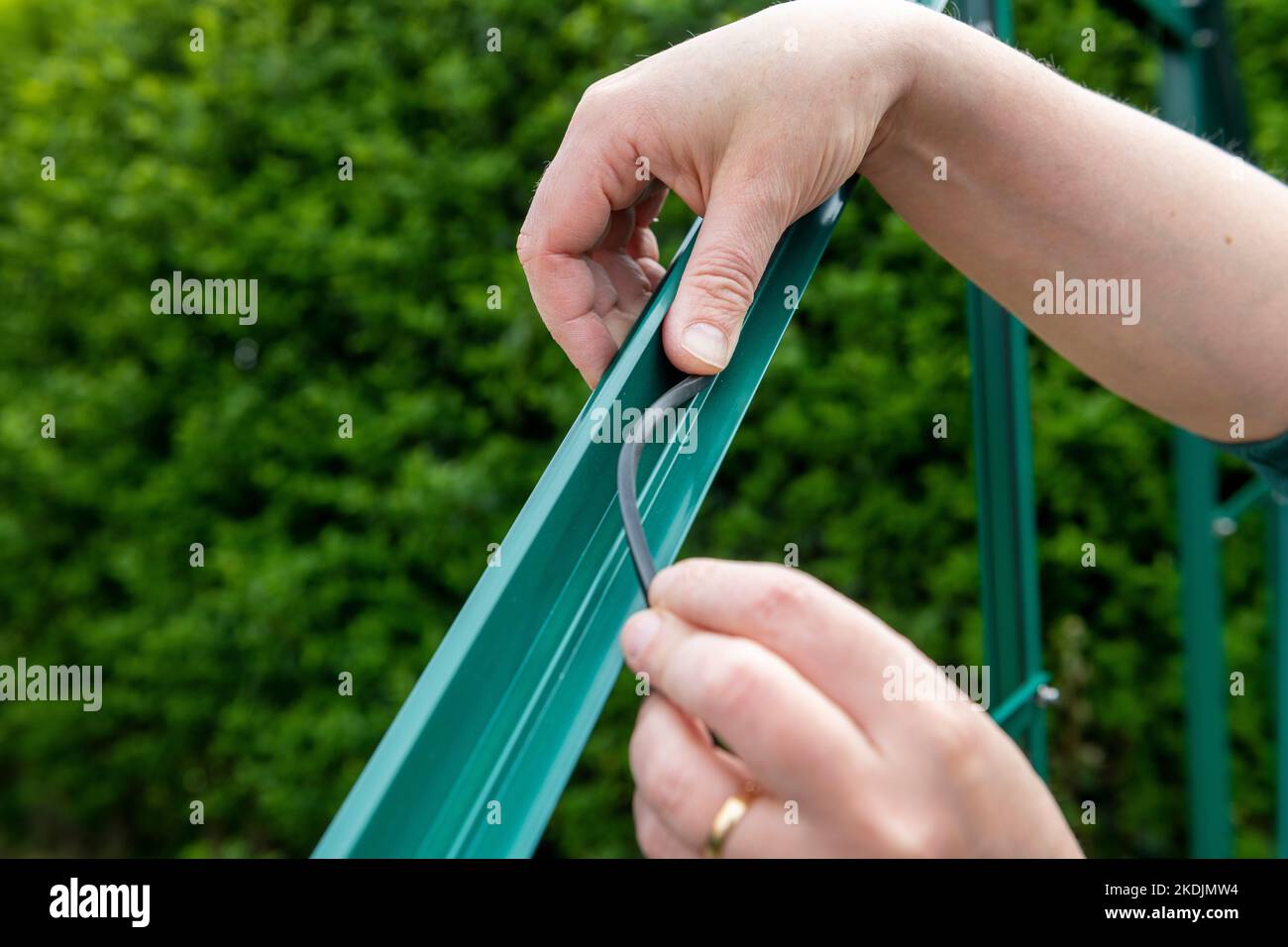 Positioning of the seal, Setting up a garden greenhouse, Pas de Calais, France Stock Photo Alamy