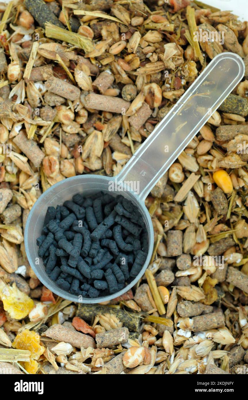 Charcoal pellets for the treatment of digestive disorders and cereal