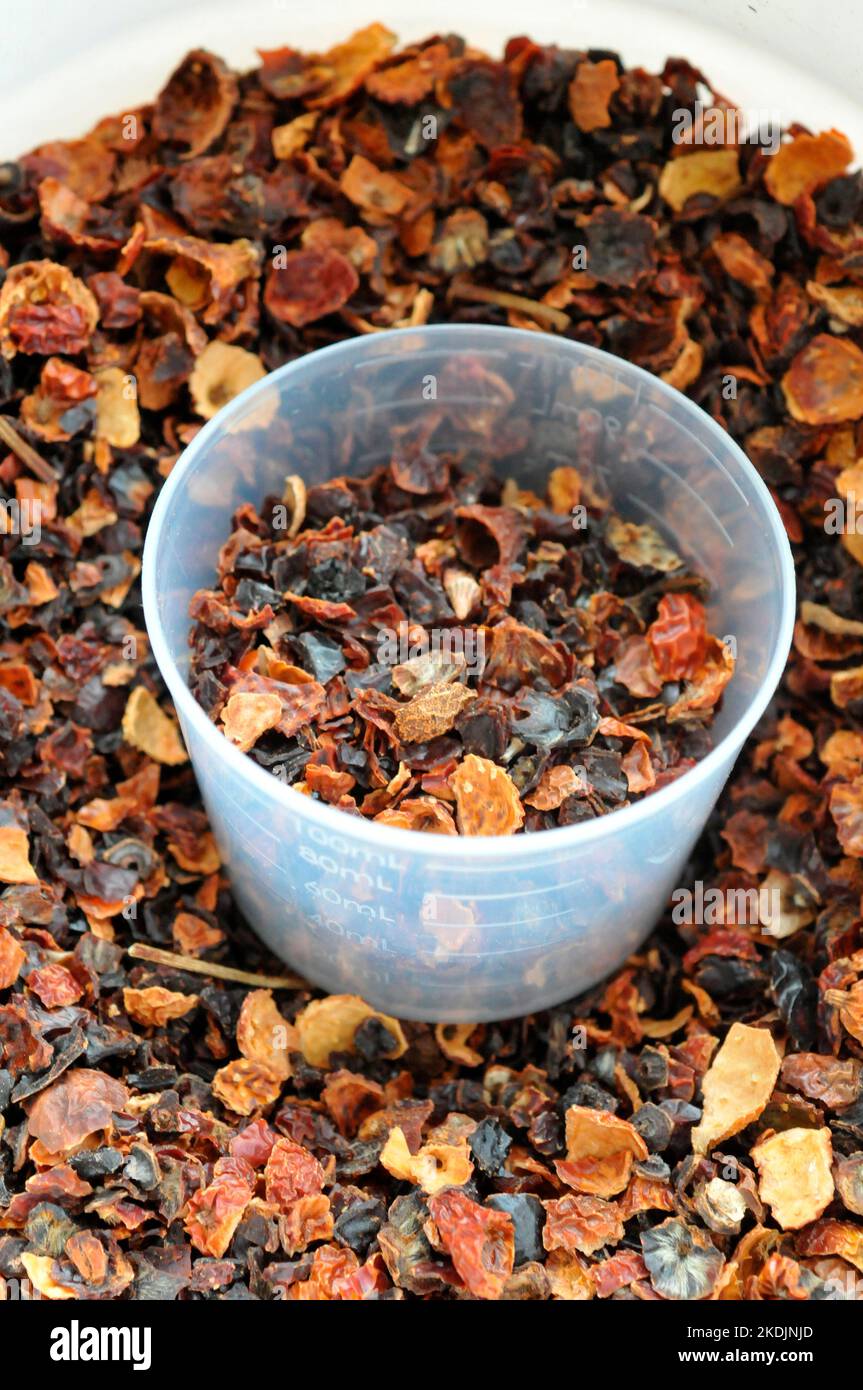 Dried rose hip, natural source of vitamin C for horses, and measuring