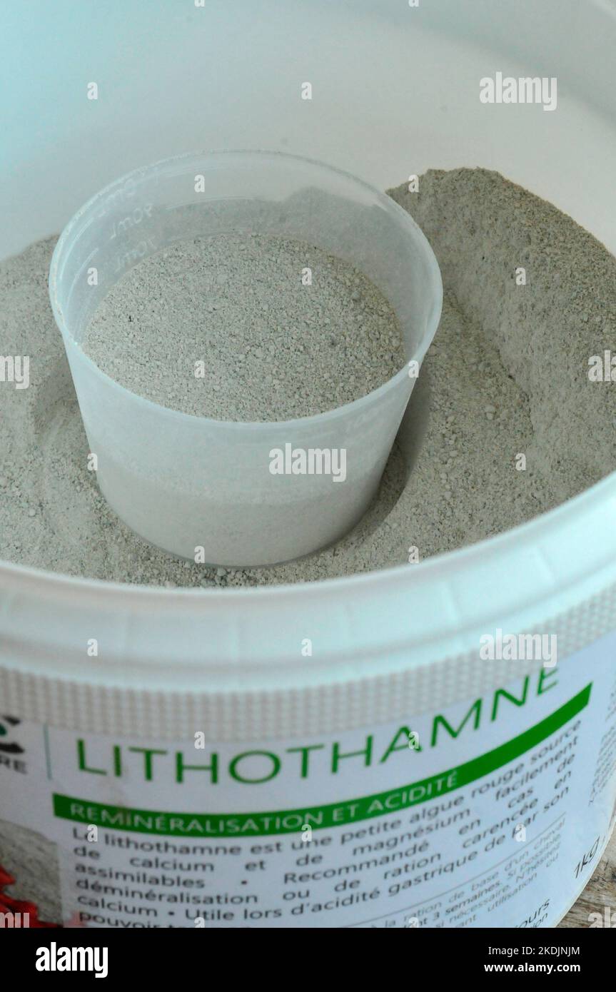 Lithothamnion, food supplement for horses based on red algae, source of