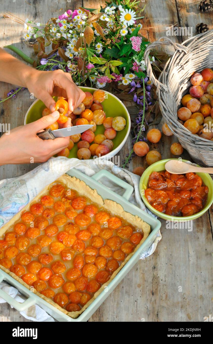 Mirabelle plums, yellow plums, pitting the fruit, homemade mirabelle