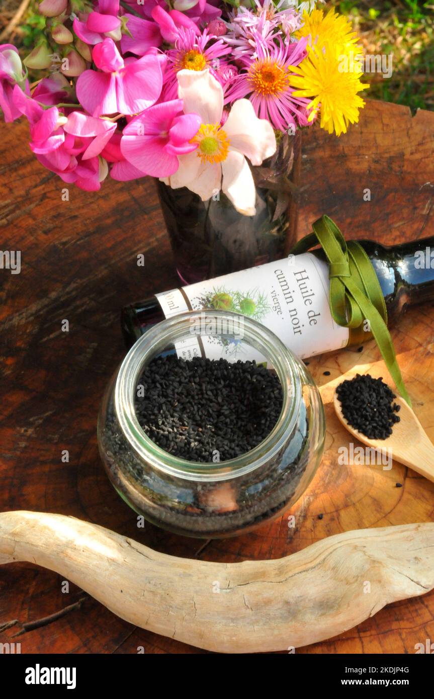 Fennel flower (Nigella sativa) seeds and oil, medicinal properties