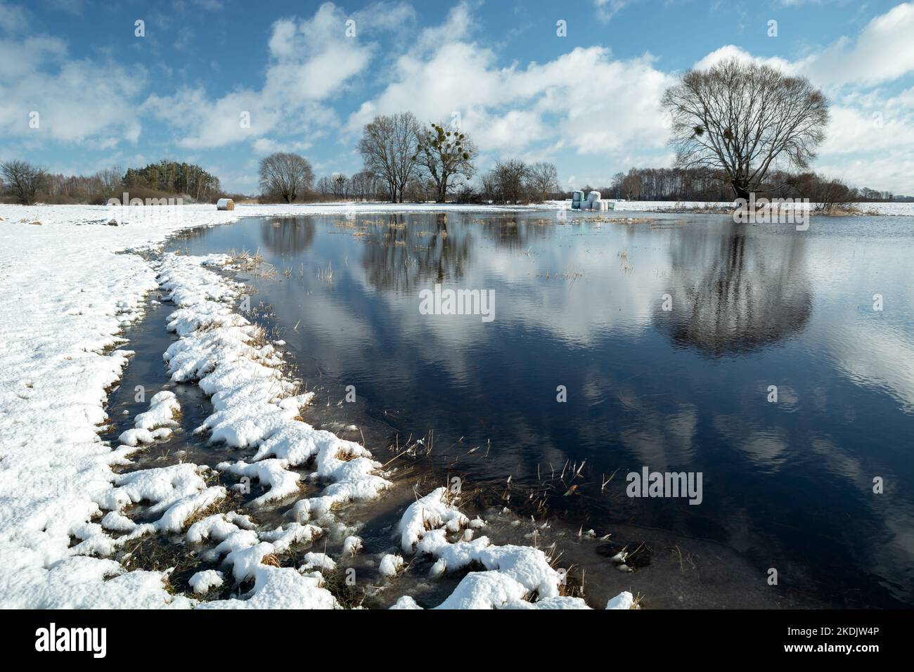 Water and snow on the meadow, sunny winter day, Nowiny, Poland Stock Photo