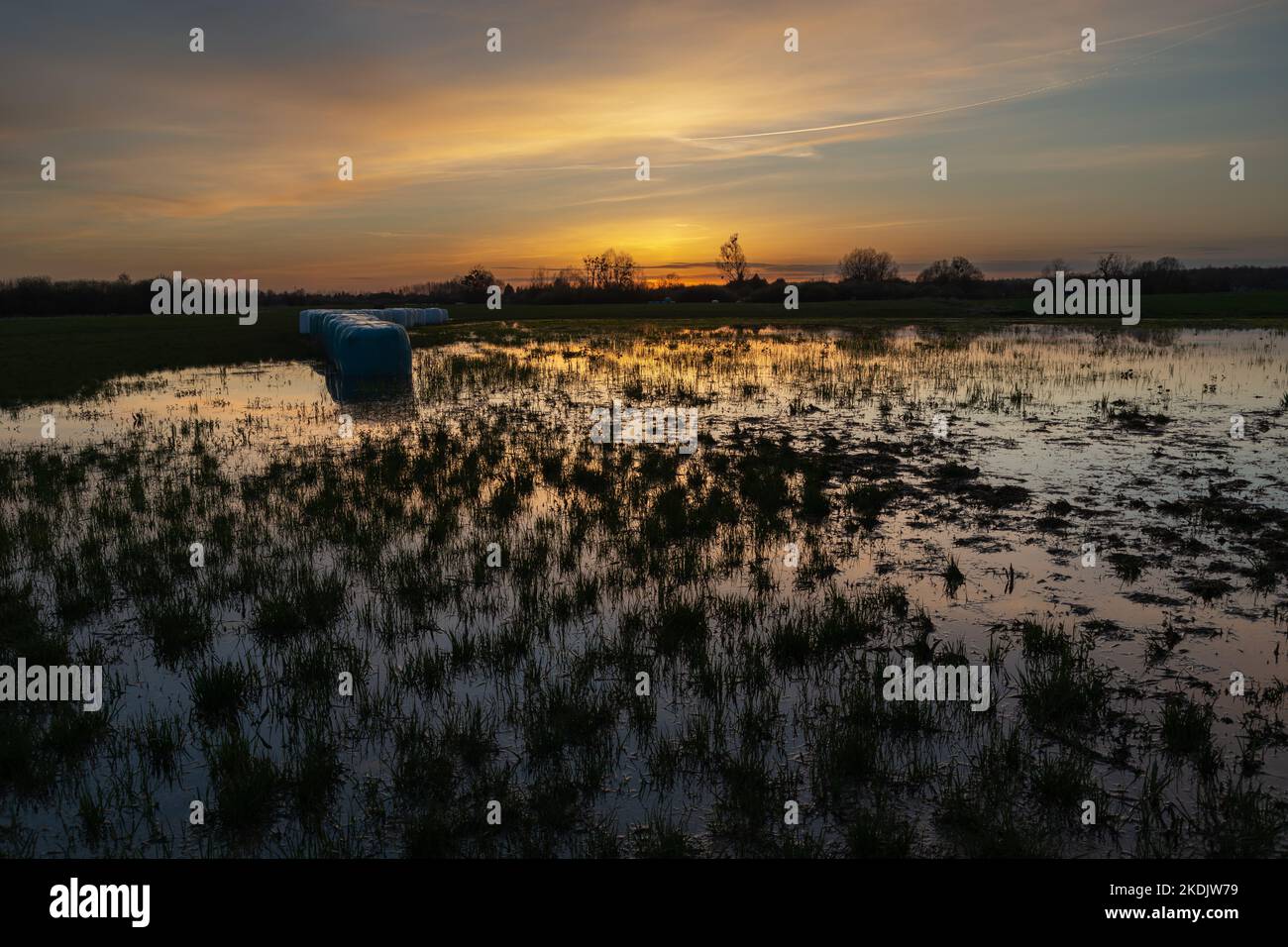 Evening sky over a wet meadow, Nowiny, Lubelskie, Poland Stock Photo