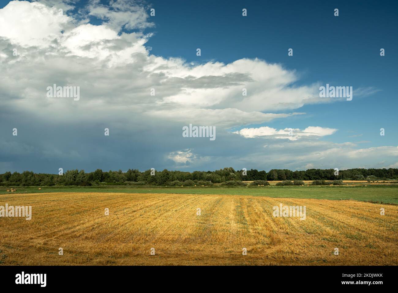 Stubble field and forest on the horizon, stormy clouds on the sky, Czulczyce, Poland Stock Photo
