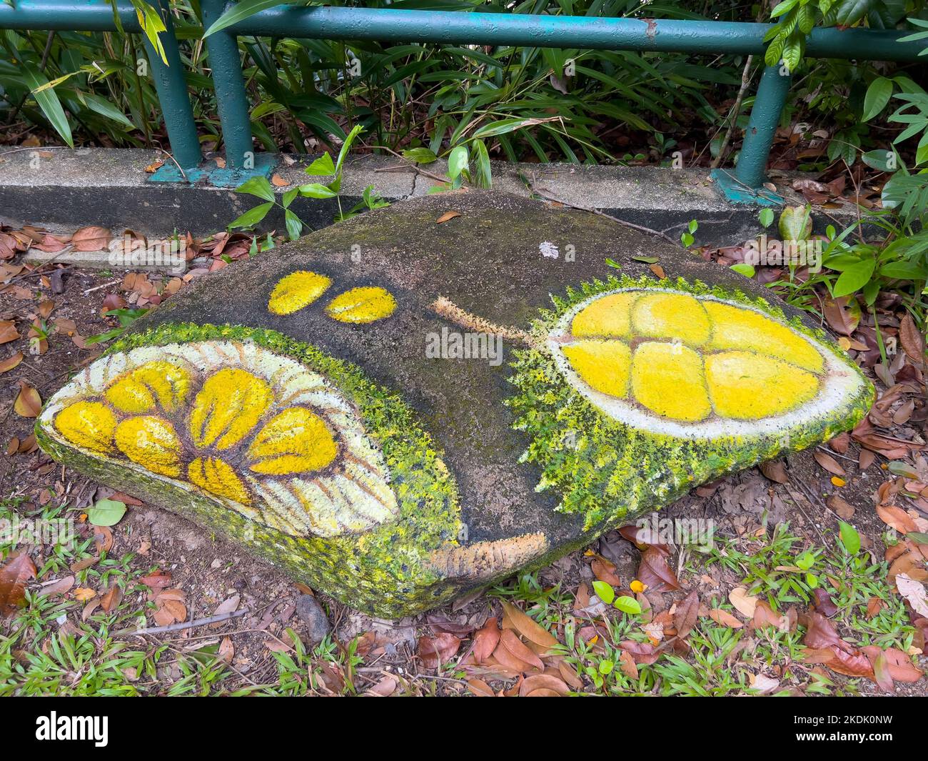 Painting of durian on a large rock at an outdoor environment for the visitors to check out. Stock Photo