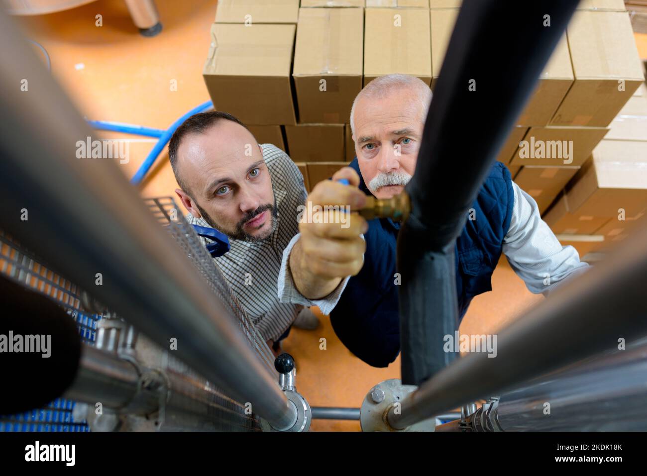 close up of workers loading forklift Stock Photo