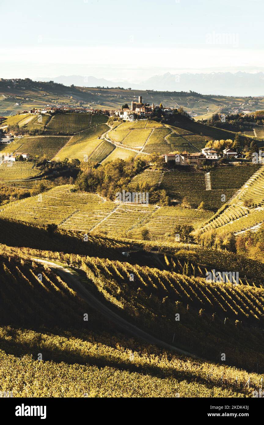 ITALY, PIEDMONT, LANGHE CONTRYSIDE: Views of the Langhe countryside at sunset. On 22 June 2014, a part of the Langhe was inscribed on UNESCO's World Heritage list for its cultural landscapes, outstanding living testimony to winegrowing and winemaking traditions that stem from a long history, and that have been continuously improved and adapted up to the present day. Stock Photo