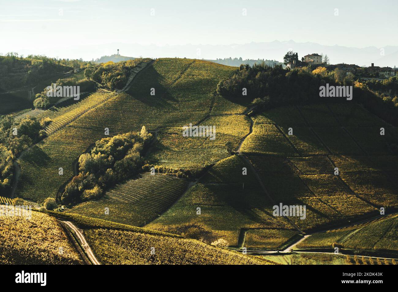 ITALY, PIEDMONT, LANGHE CONTRYSIDE: Views of the Langhe countryside at sunset. On 22 June 2014, a part of the Langhe was inscribed on UNESCO's World Heritage list for its cultural landscapes, outstanding living testimony to winegrowing and winemaking traditions that stem from a long history, and that have been continuously improved and adapted up to the present day. Stock Photo