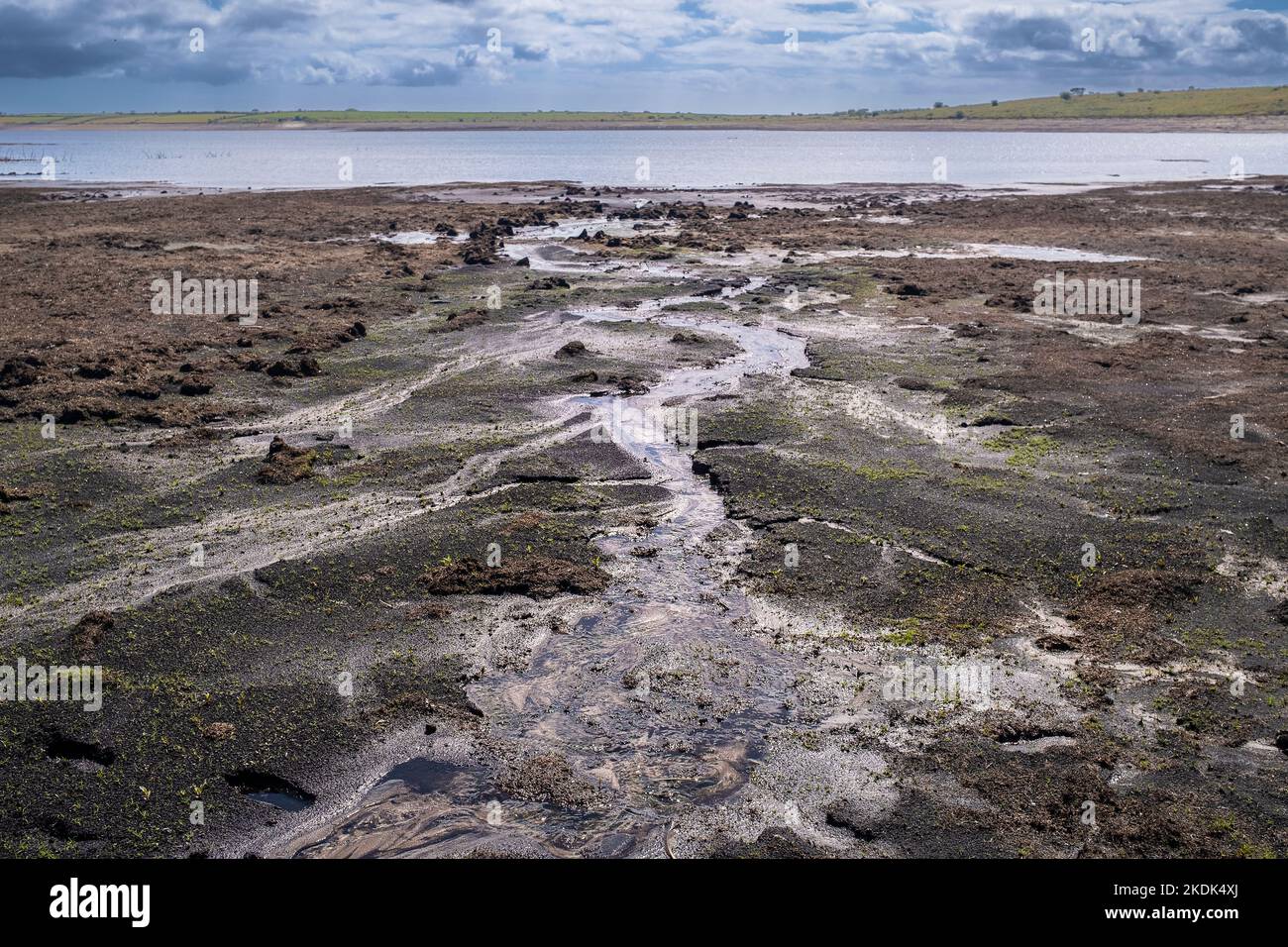 The muddy lake bed exposed by severe drought conditions at Colliford