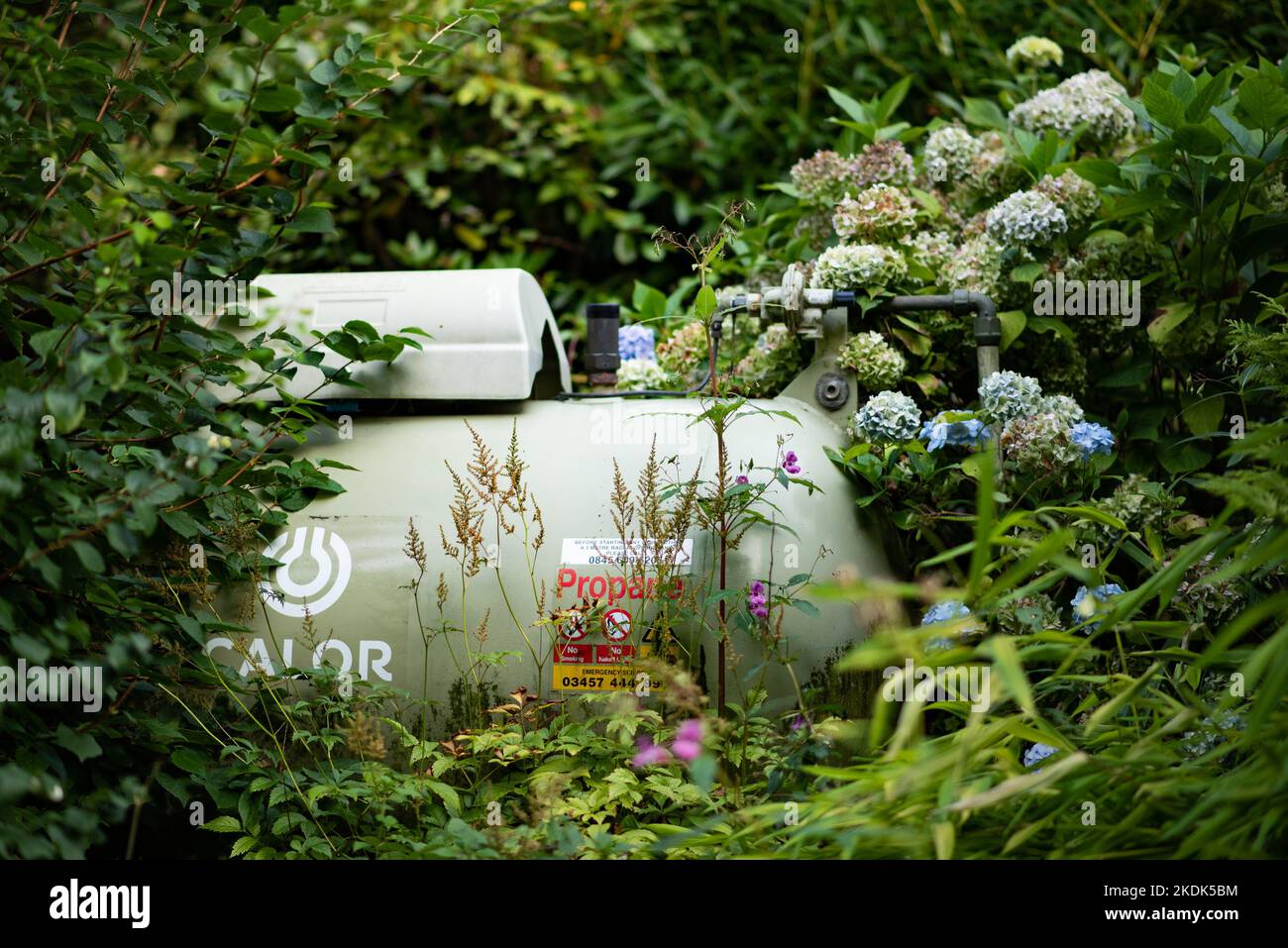 A Calor gas tank in a garden, Chipping, Preston, Lancashire. Stock Photo
