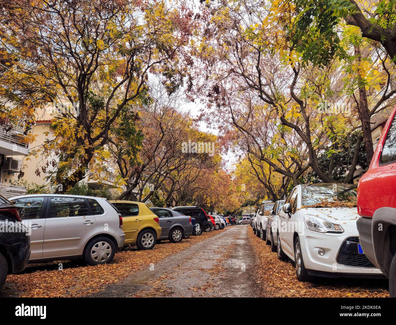 Autumn scene of parked cars on a city road with fallen leaves from ...