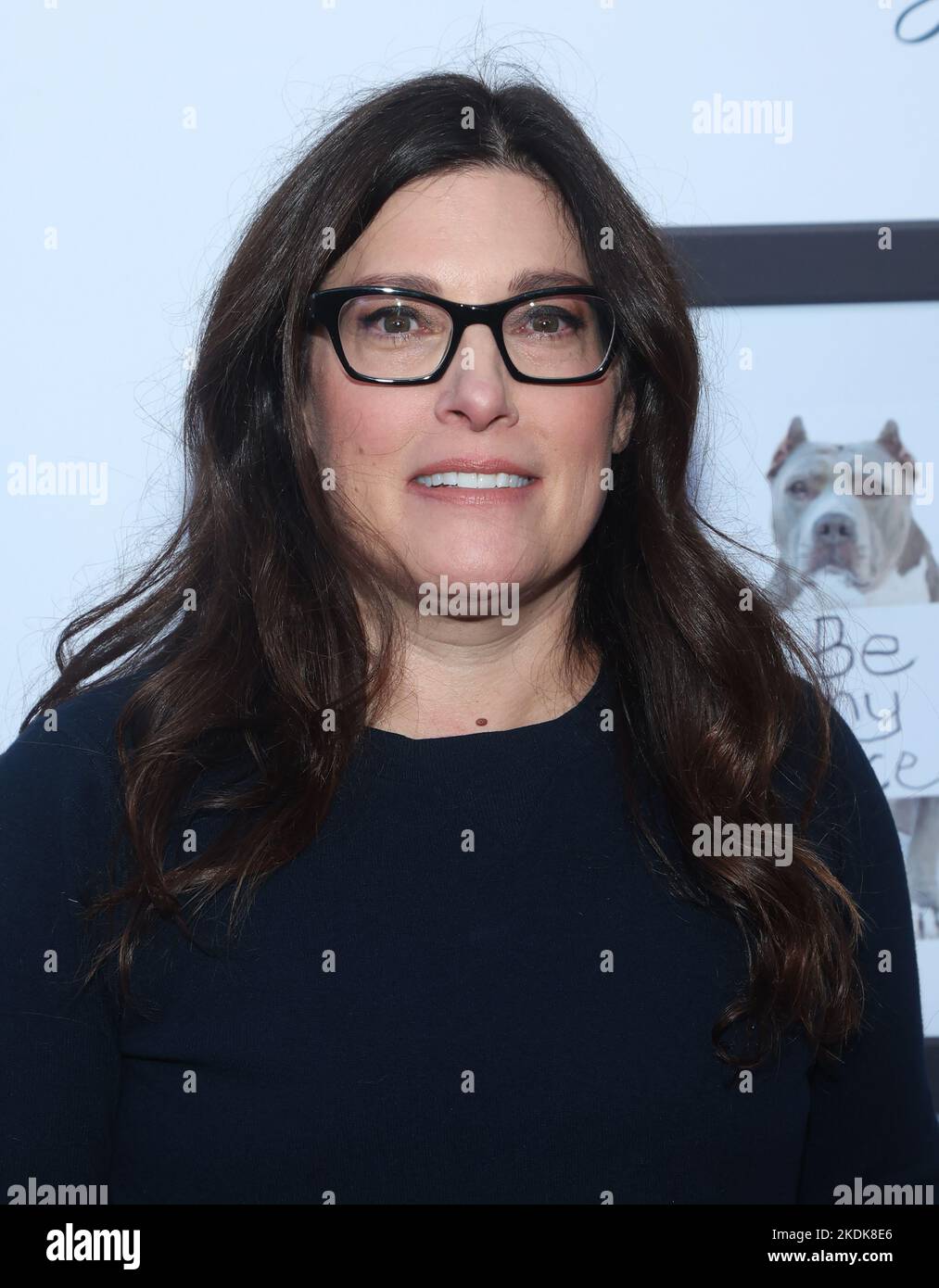 LOS ANGELES, CA NOVEMBER 6 Rebecca Corry at Stand Up For Pits