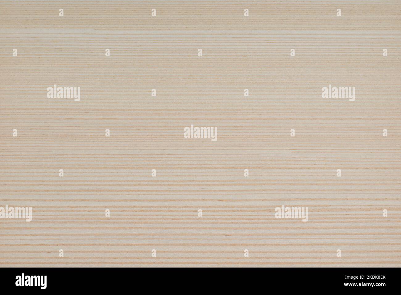 Pine wood panel texture pattern Stock Photo
