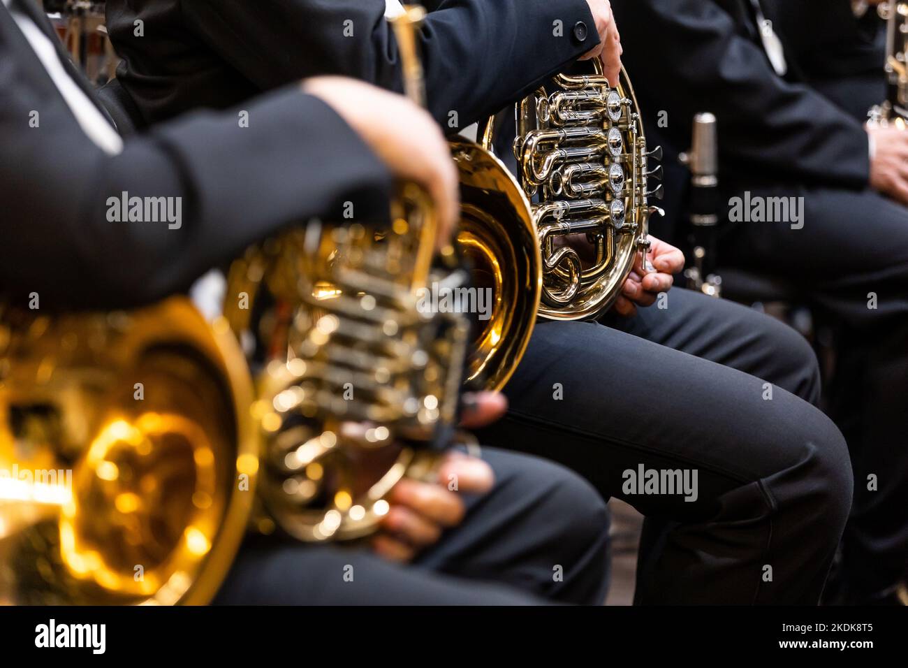 Philharmonic orchestra, musician playing on the french horn during the