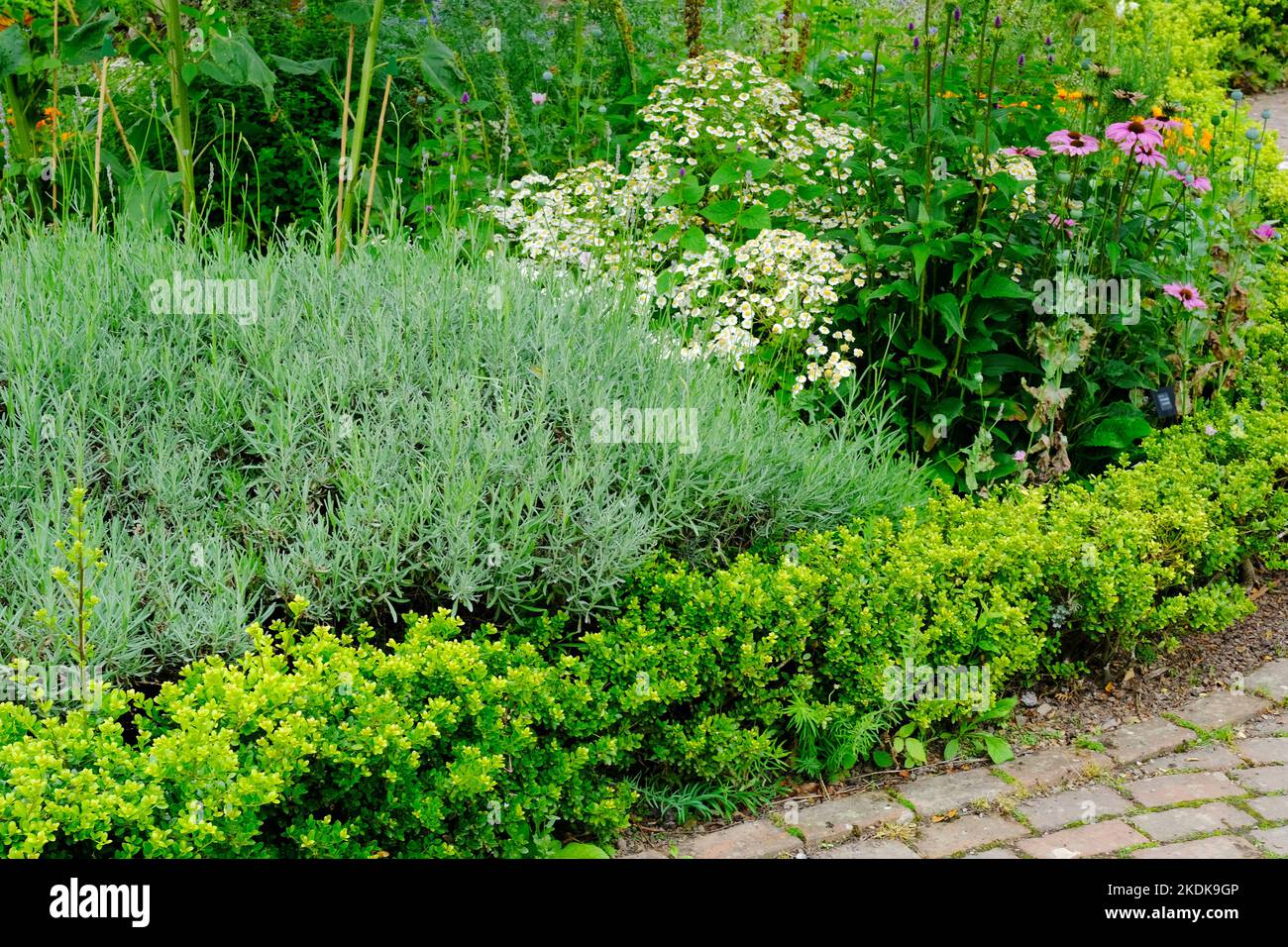 Gardens without borders hi-res stock photography and images - Alamy