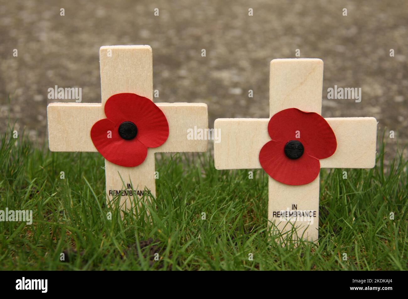 Two Remembrance Day Wooden Crosses with Poppys. Stock Photo