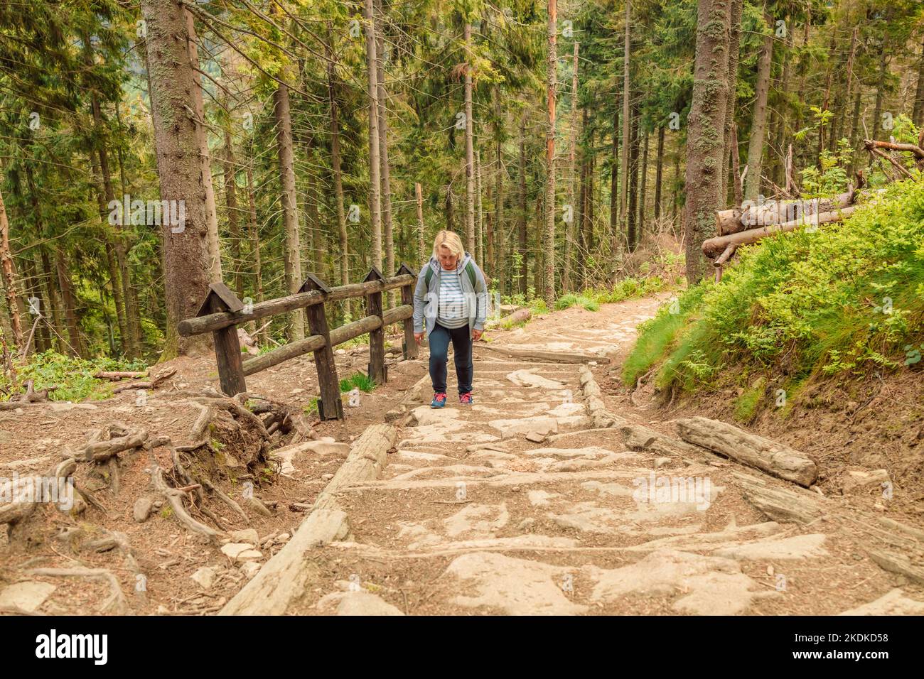 Female friends hiking hi-res stock photography and images - Alamy