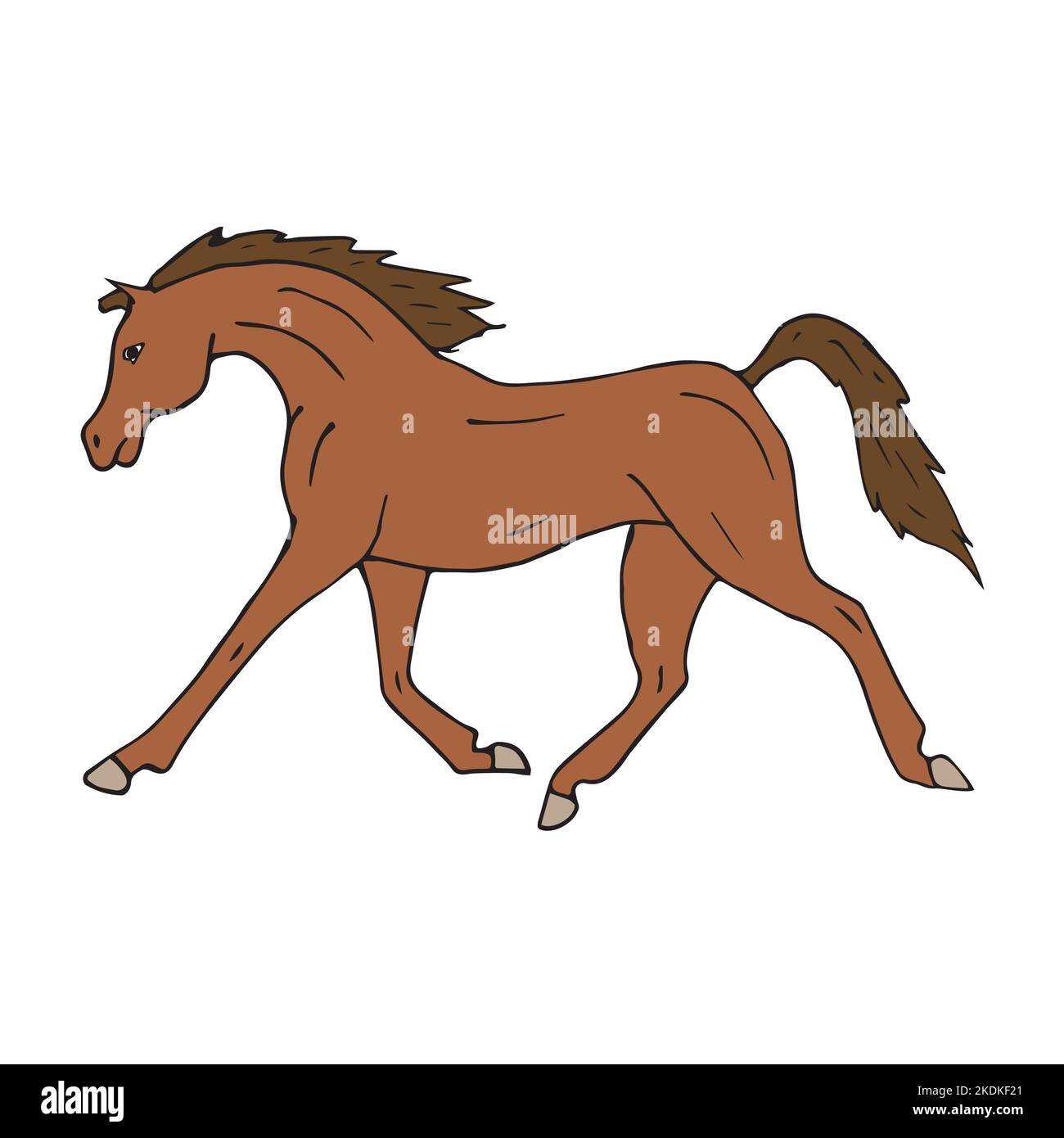 Vector hand drawn doodle sketch colored Arabian horse isolated on white ...