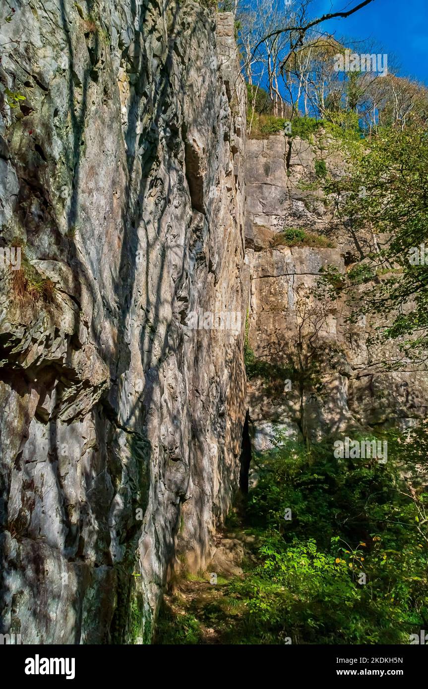 Narrow entrance to an old lead mine on a mineral vein in tall limestone cliffs, partly quarried, in Middleton Dale, Stoney Middleton, Peak District. Stock Photo