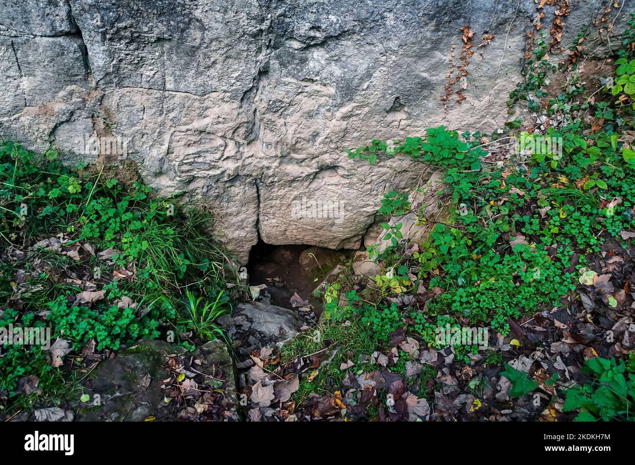 The part-blocked Resurgence entrance to Carlswark Cavern, a famous and ...