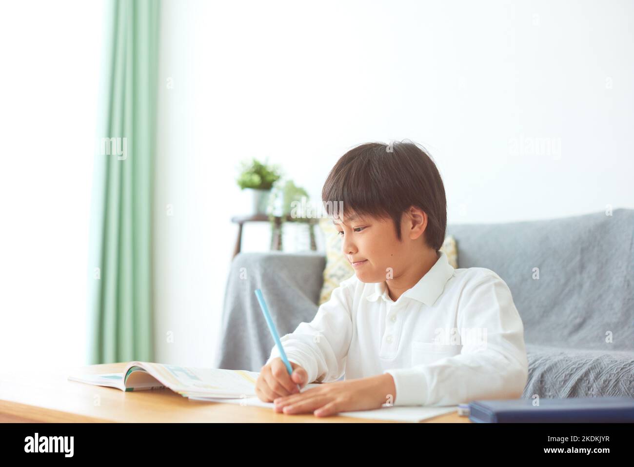 Japanese kid studying at home Stock Photo