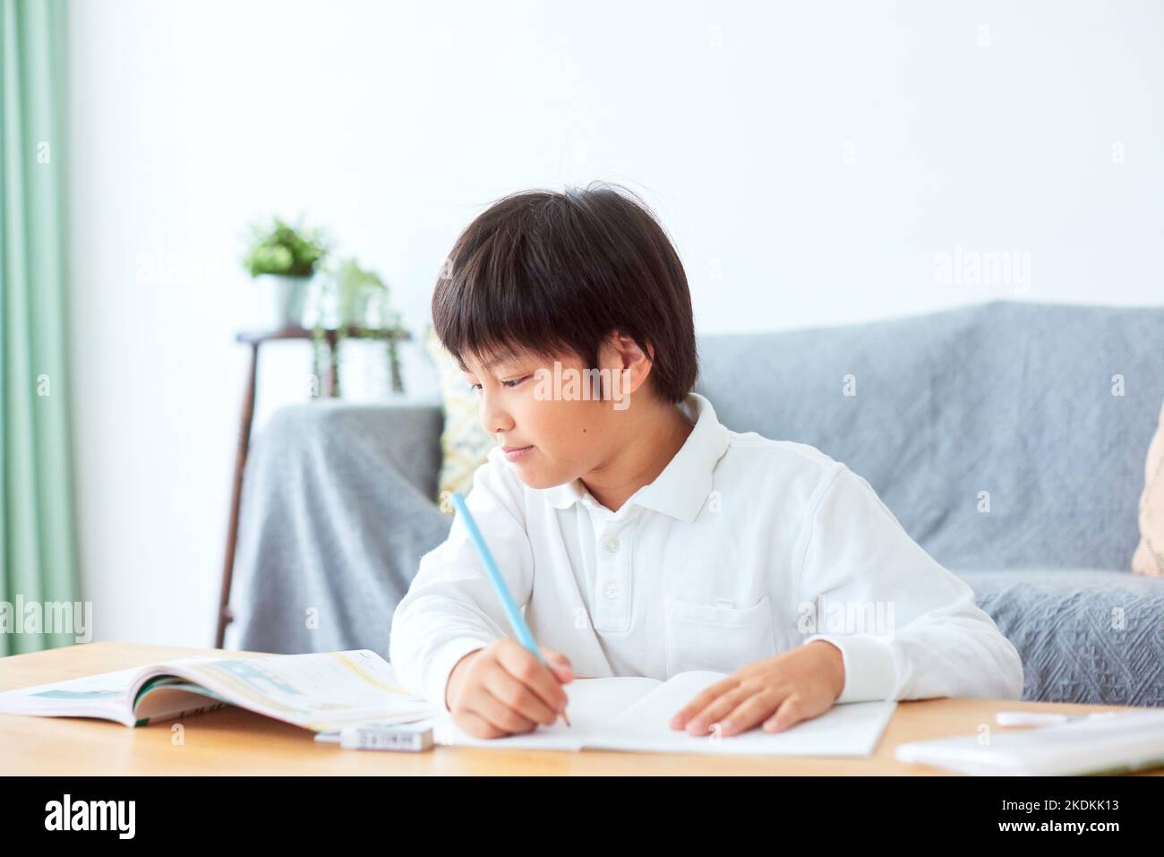 Japanese kid studying at home Stock Photo