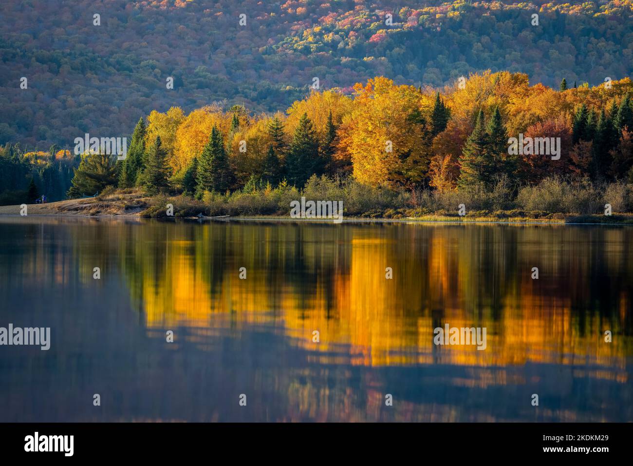 Northern autumn forest and lake with beautiful reflections in a national park Stock Photo