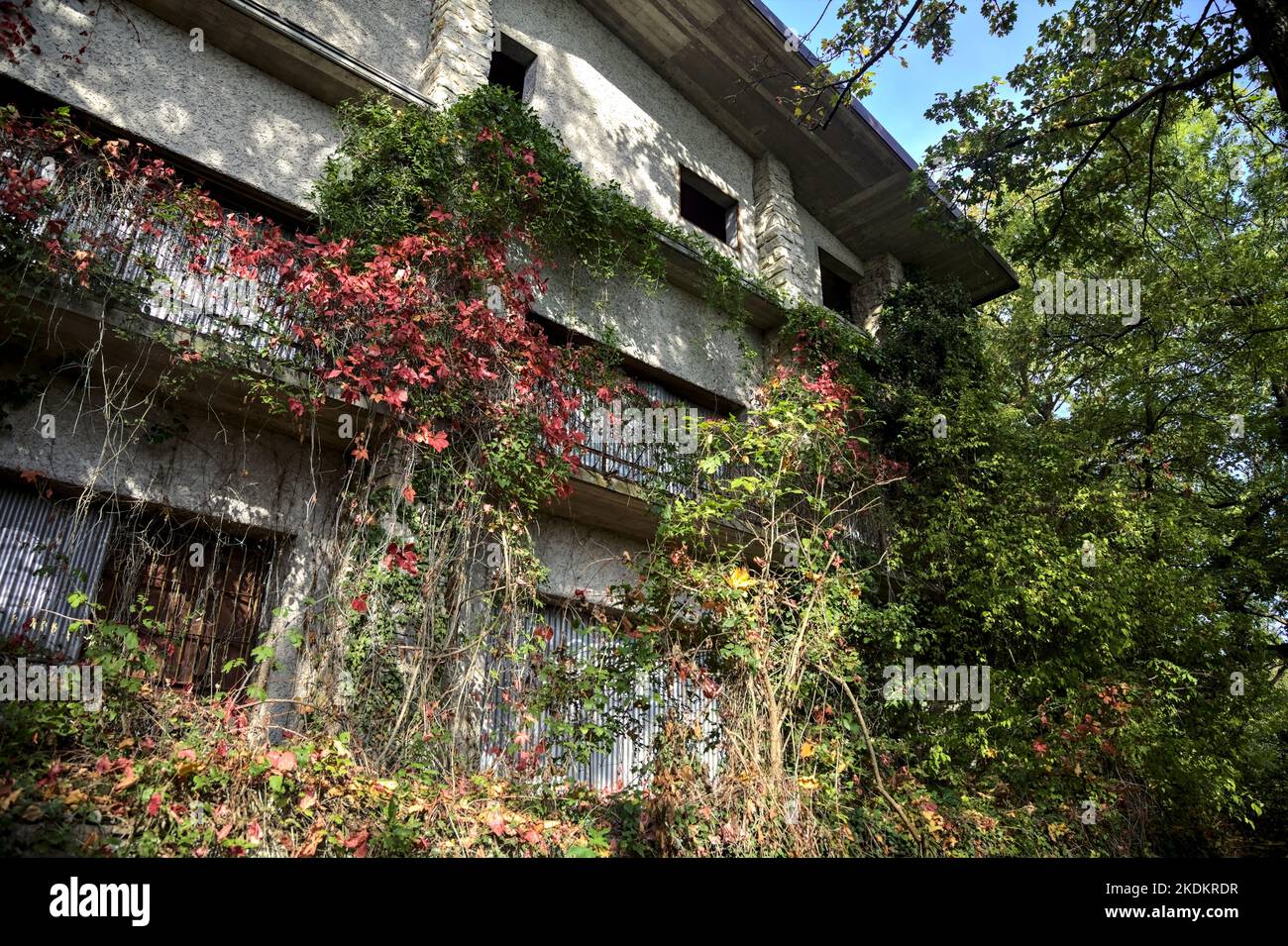Facade  of an abandoned building in a forest with ivy growing on a balcony Stock Photo