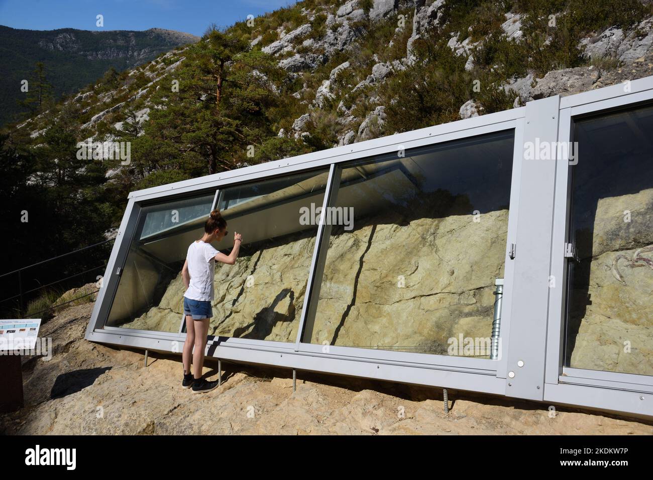Young Tourist Visiting Protected Site of Fossilised Prehistoric sirenia