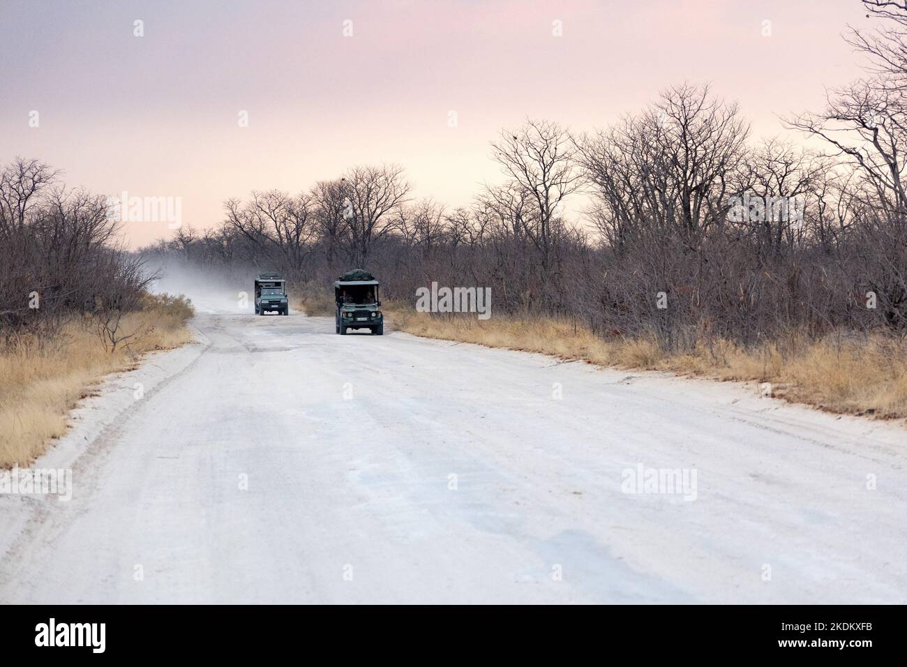 Driving Africa; Cars driving on an unmade African road at dusk, Botswana, Africa Stock Photo