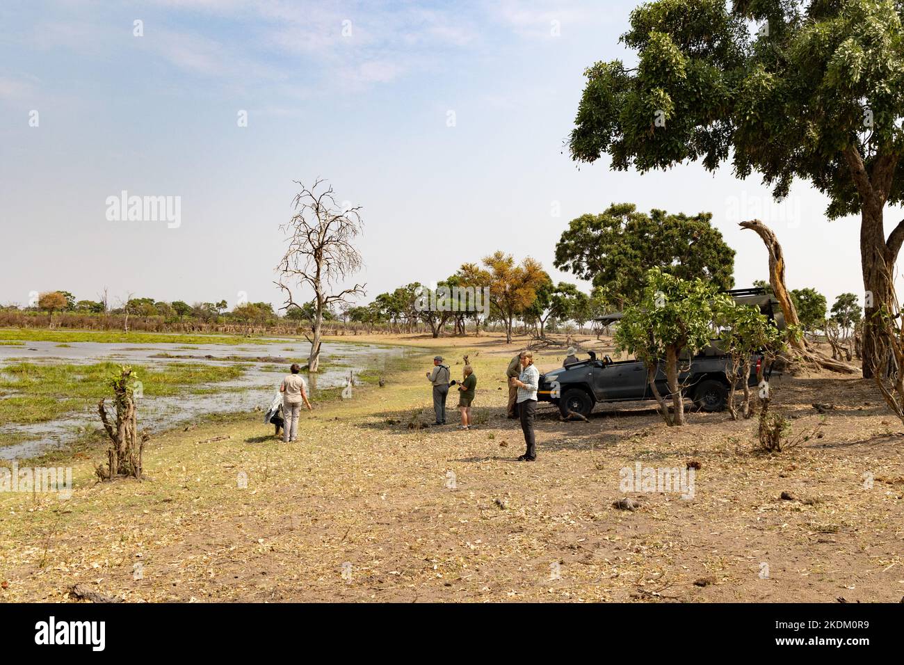 Africa travel - people on a jeep safari stop for coffee by a pool; Moremi Game Reserve, Okavango Delta, Botswana, Africa.  Africa safari holiday. Stock Photo