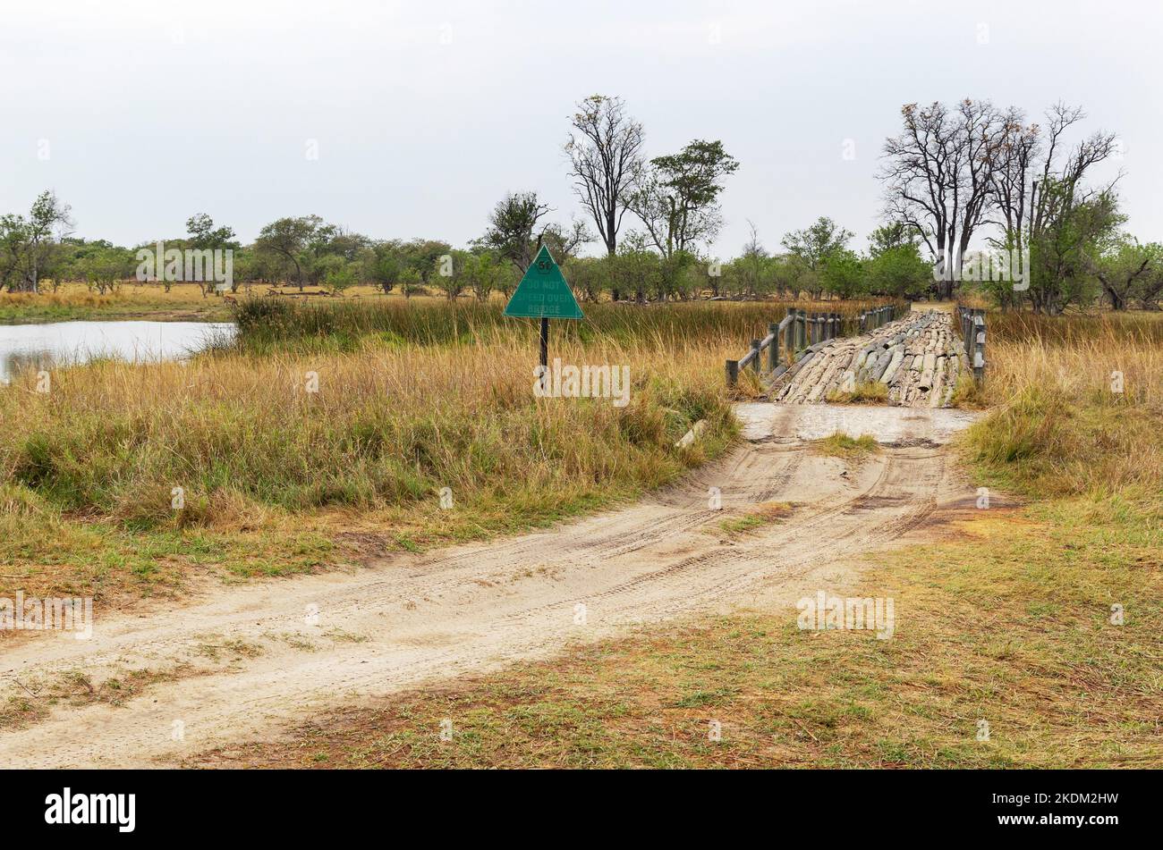 Third Bridge over water, Moremi Game Reserve landscape, Okavango Delta, Botswana Africa Stock Photo