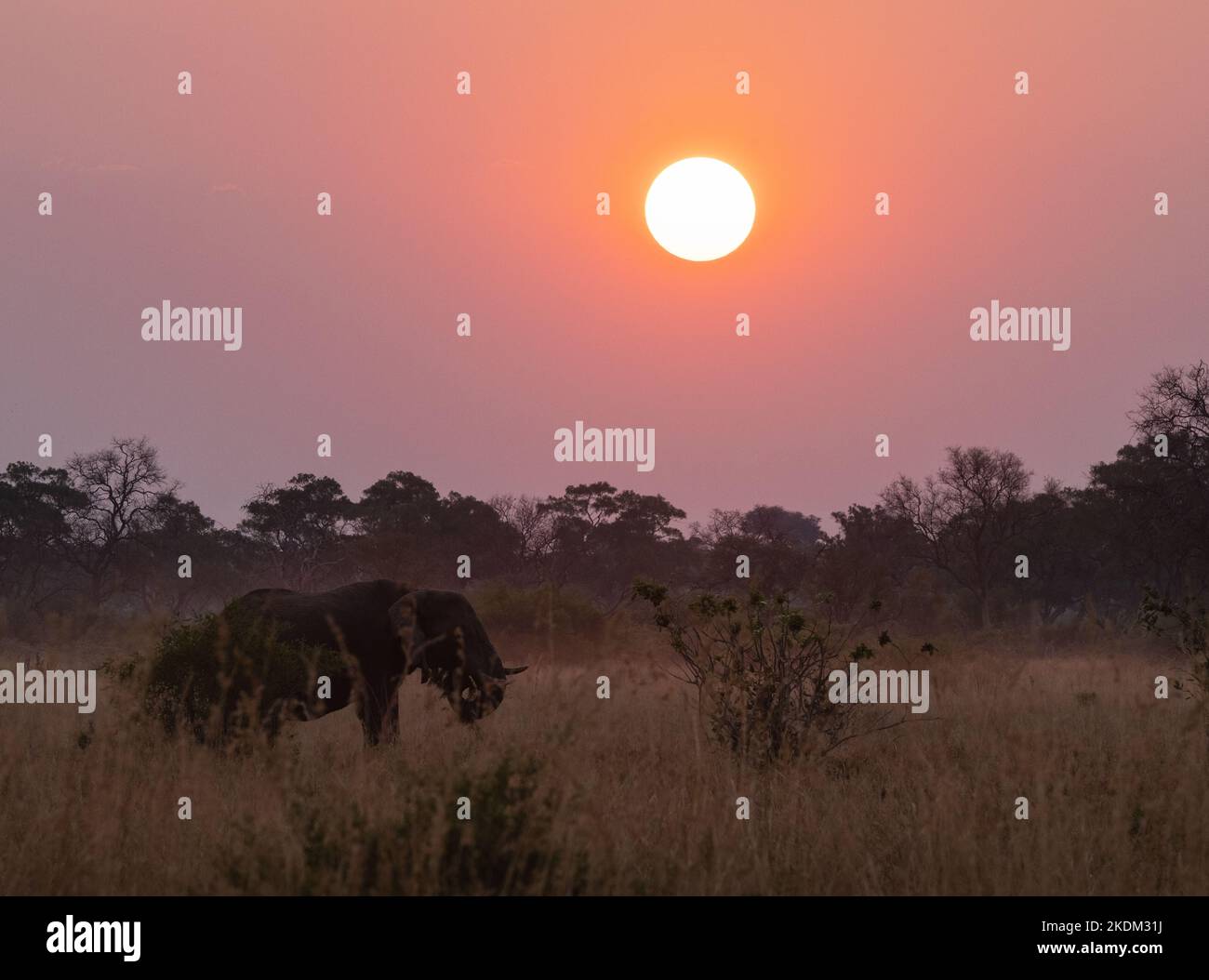 African sunset landscape hi-res stock photography and images - Alamy