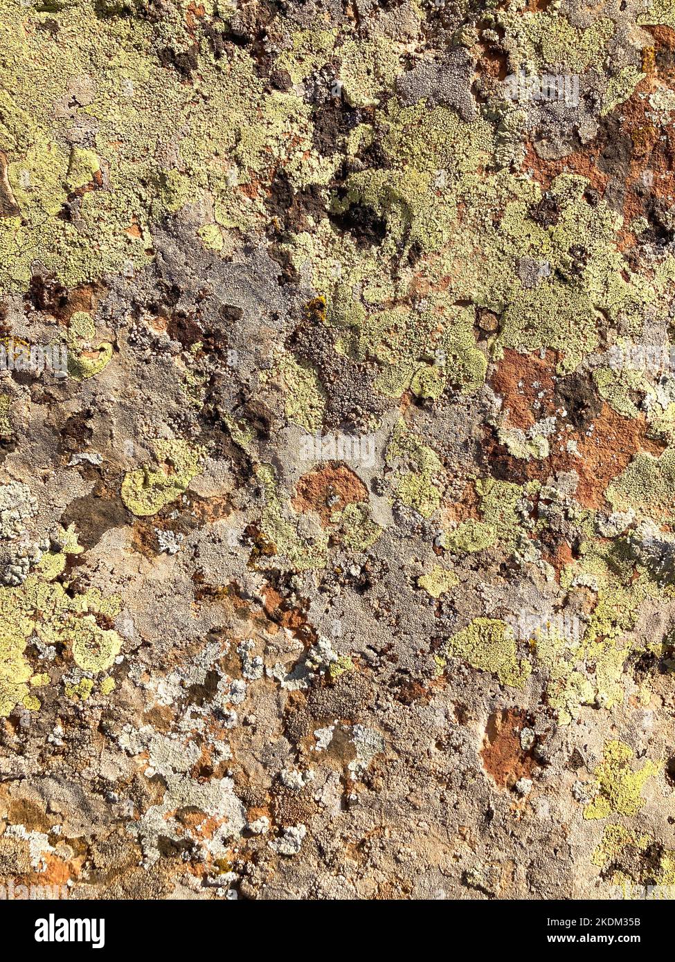 Rough stone texture, stone surfaces seamless texture Stock Photo Alamy