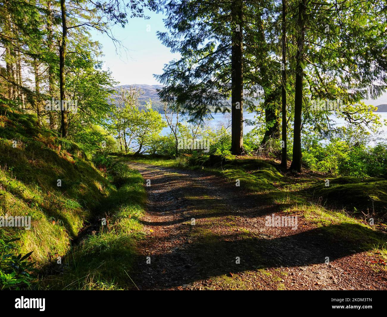 Path overlooking the loch near Tignabruaich, Cowal Peninsula, Scotland, UK. Stock Photo