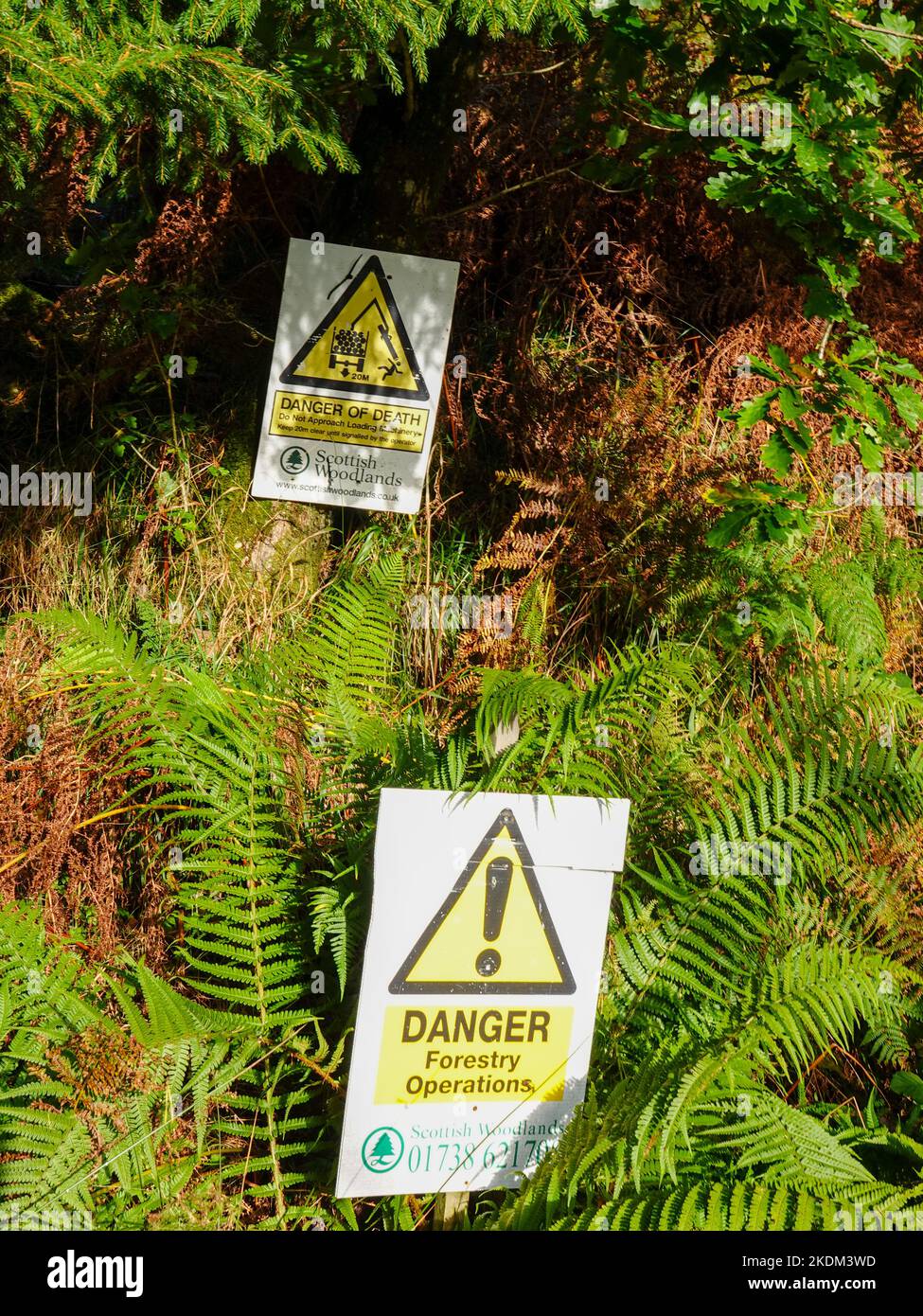 Warning signs, danger of death, near Scottish woodlands forestry logging operations in the
