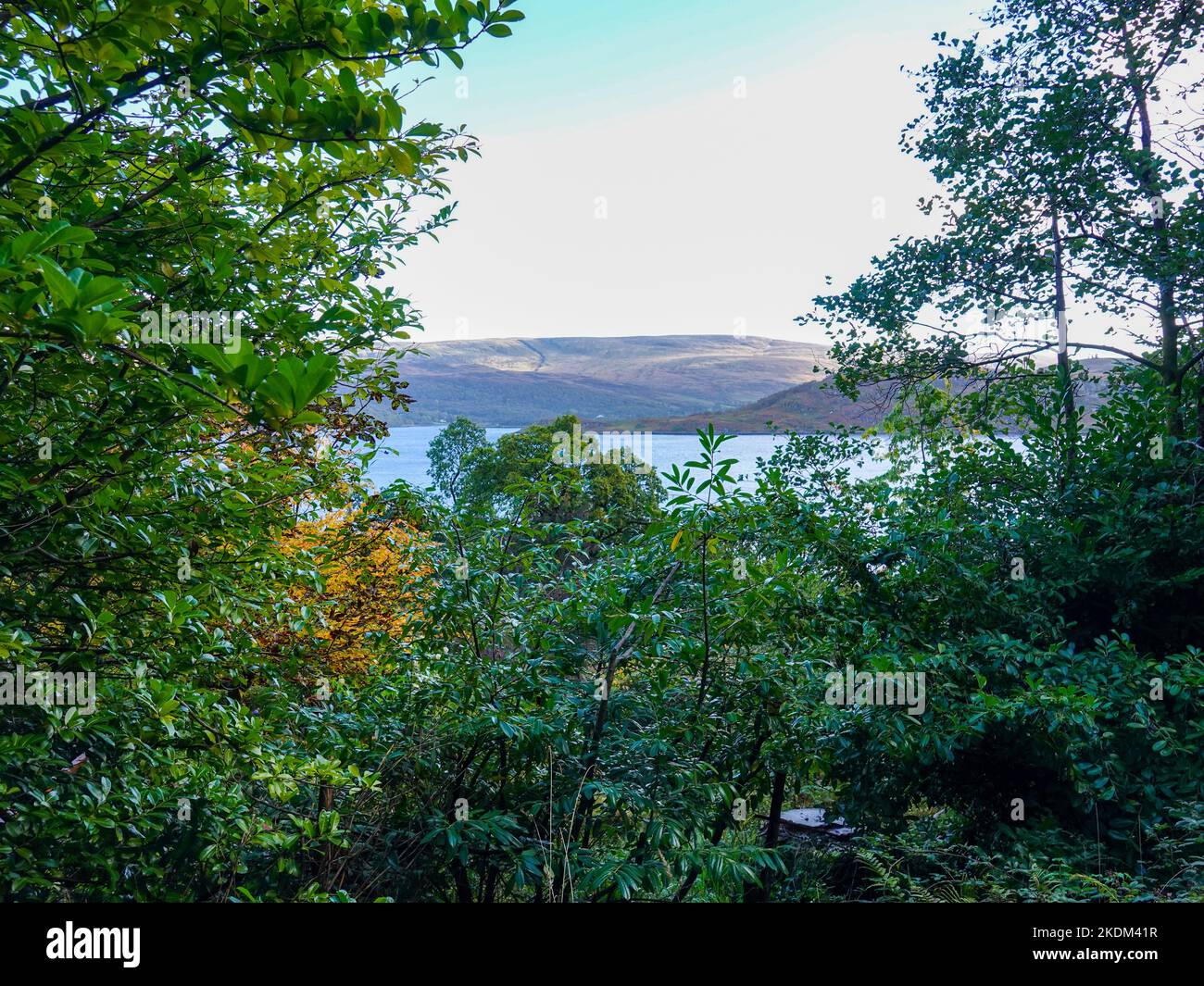 View of the loch and surrounding hills through a forest overlook near Tignabruaich on the Cowal Peninsula, Argyll and Bute, Scotland, UK. Stock Photo