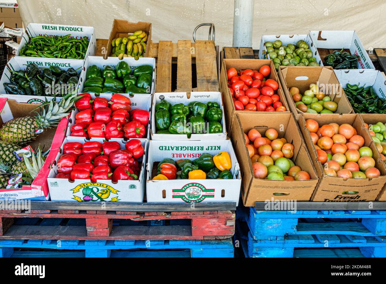 Immokalee road hires stock photography and images Alamy