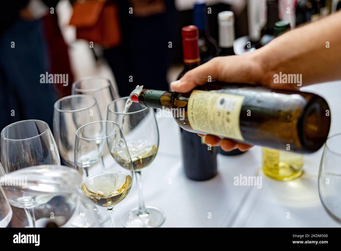 Wine. Glass of wine. Hands serving bottles of wine in transparent