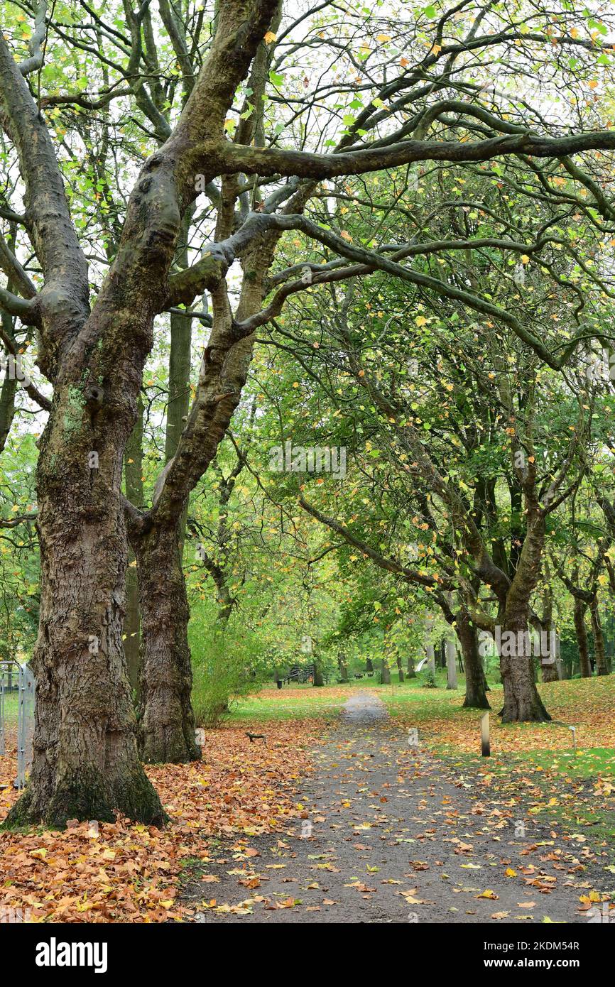 Whitworth Park, Manchester Stock Photo Alamy